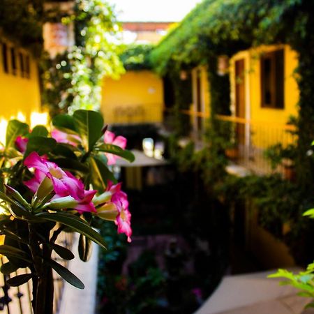 Hotel Dainzu Oaxaca المظهر الخارجي الصورة