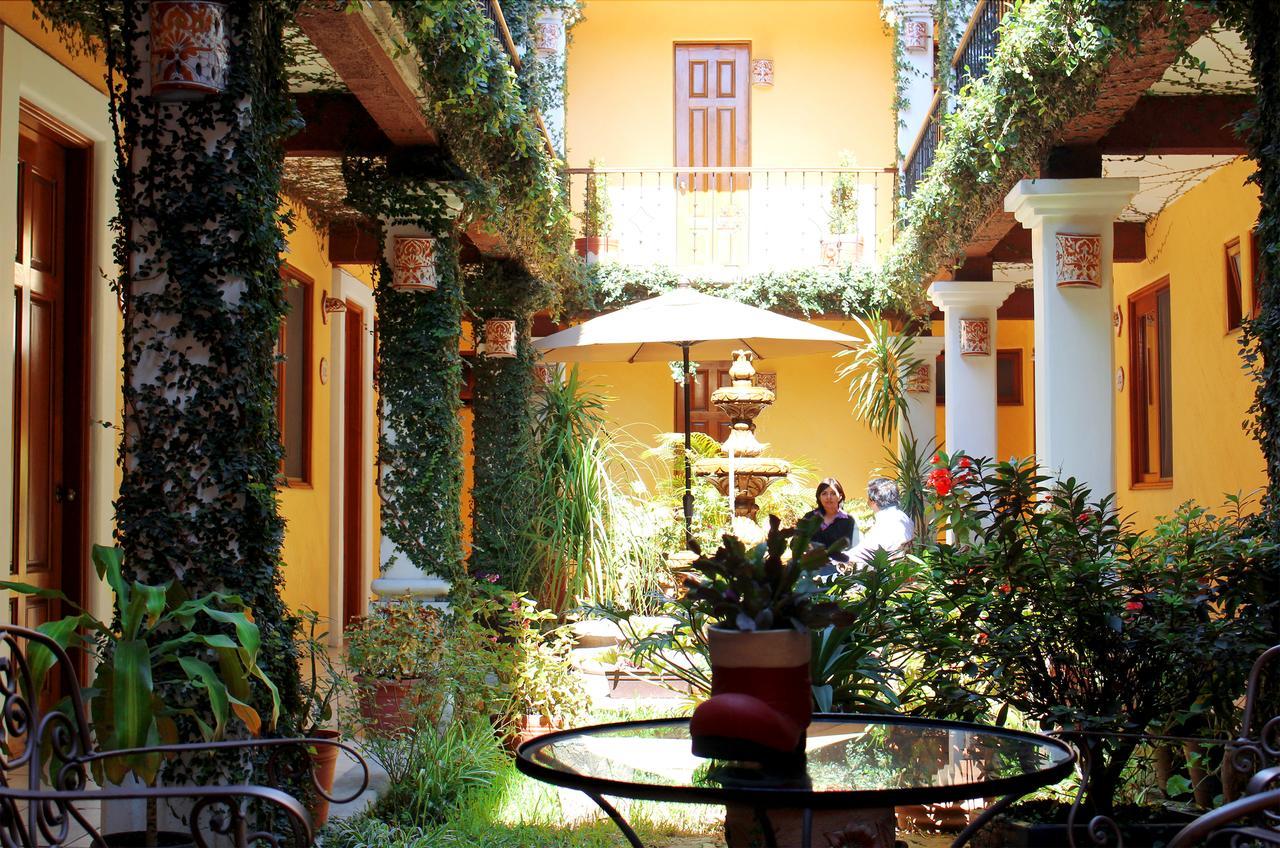Hotel Dainzu Oaxaca المظهر الخارجي الصورة
