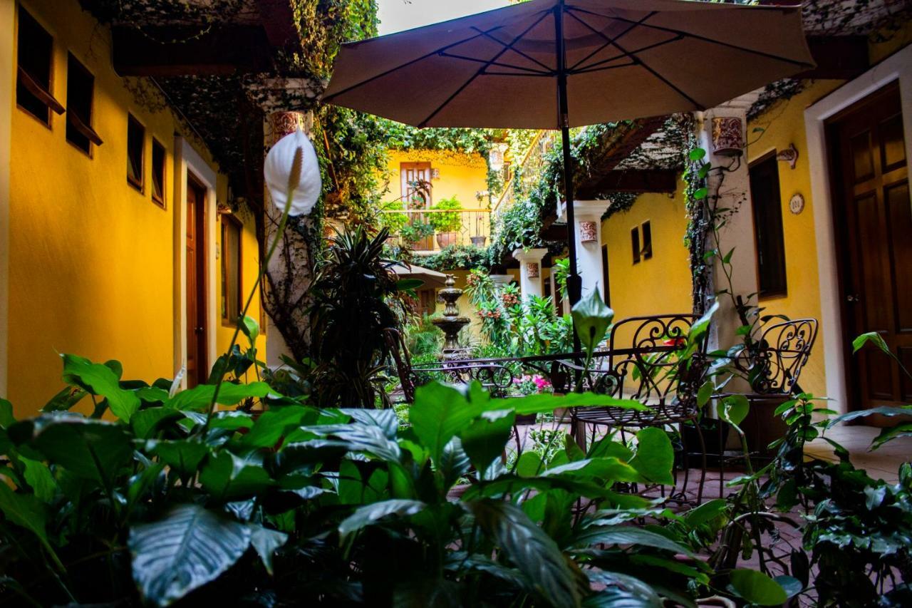 Hotel Dainzu Oaxaca المظهر الخارجي الصورة