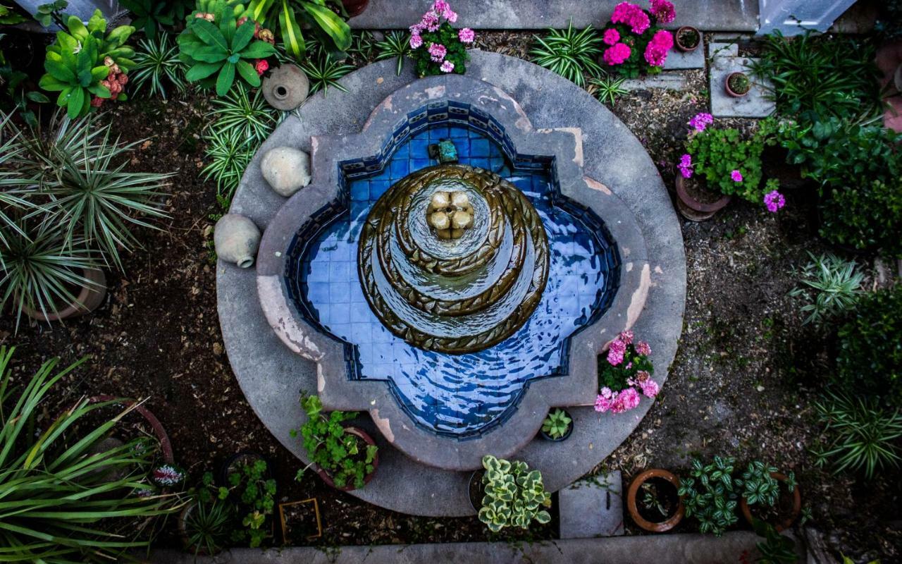 Hotel Dainzu Oaxaca المظهر الخارجي الصورة