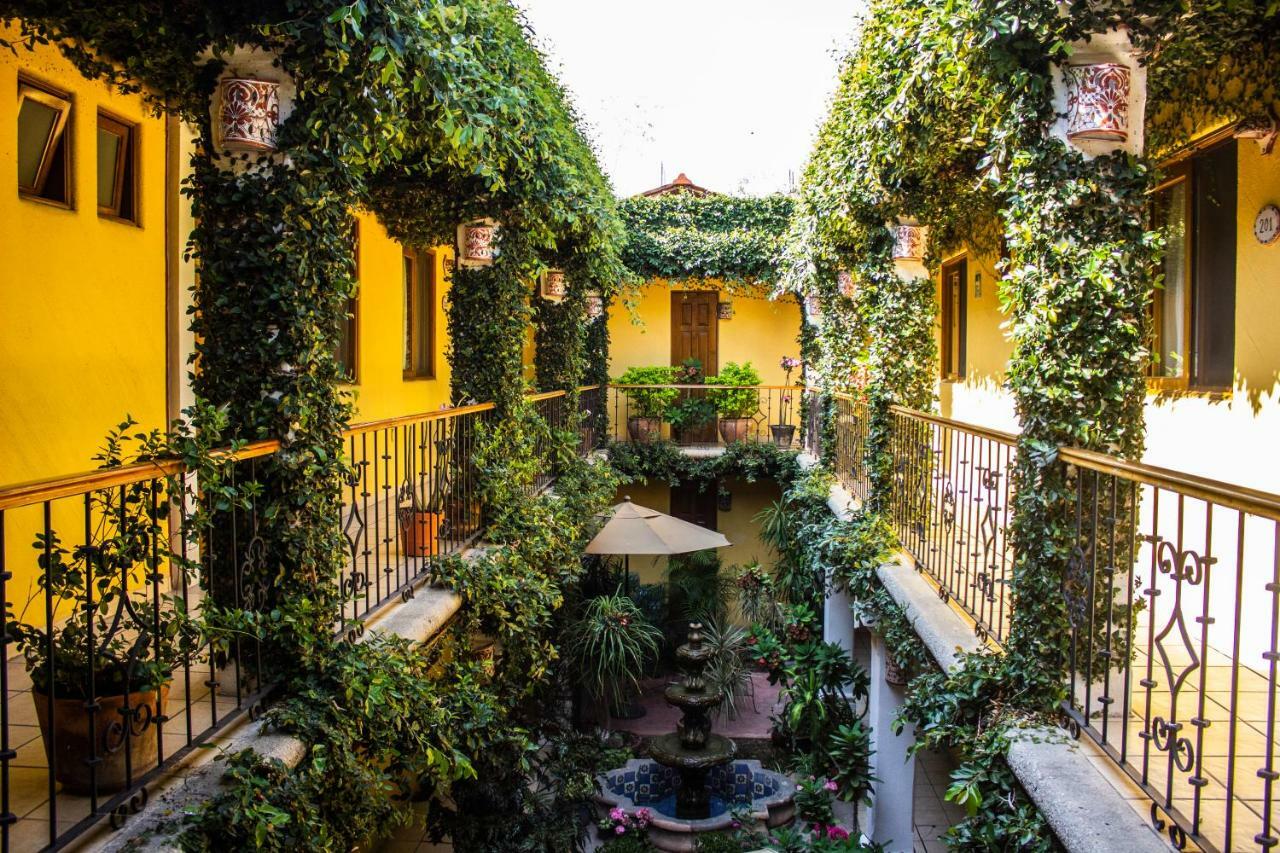 Hotel Dainzu Oaxaca المظهر الخارجي الصورة